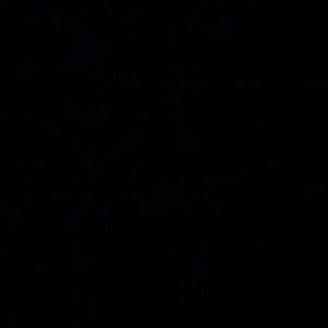 Meet your Posher, Trinity